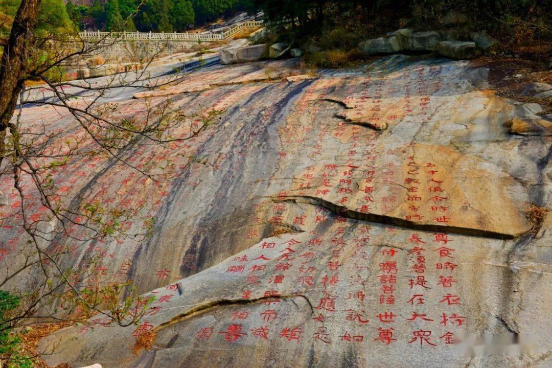 92年男，从没谈过，被拉去相亲，有两次被对方看上，可我一点都不喜欢，圈子小，我该怎么办？游戏画面